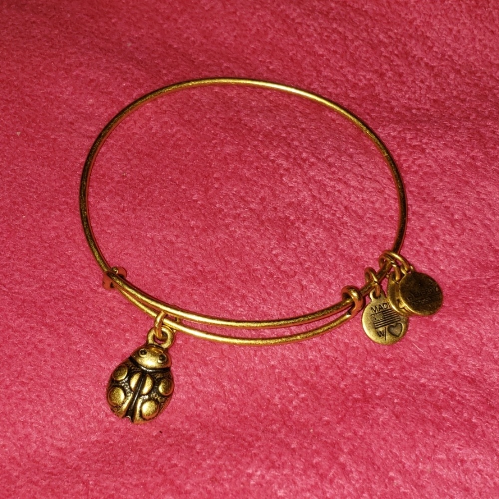 Alex and Ani Bracelet
